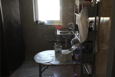 Casă cu Teren 5060 Mp în Vispești - 1