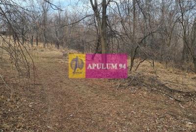 Teren intravilan de vanzare in Cornu de Jos - 1