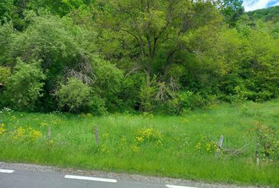 Teren de 1907 mp, în Lungești - 5