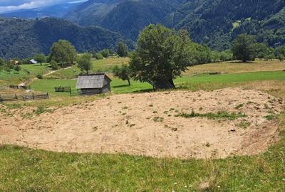Vand teren  Transalpina ( Tau Bistra,aprox.2 km de " Popasul Regelui") - 1