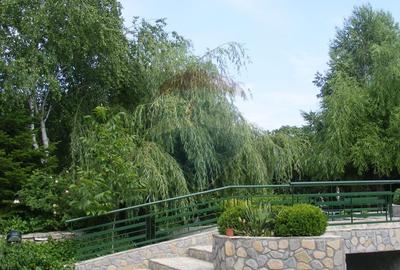Vanzare vila cu D+P+Et +M, intravilan 1670 mp, Saftica - 15
