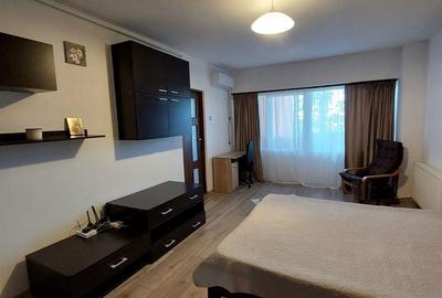 Garsonieră decomandată în Valea Ialomiței - 7