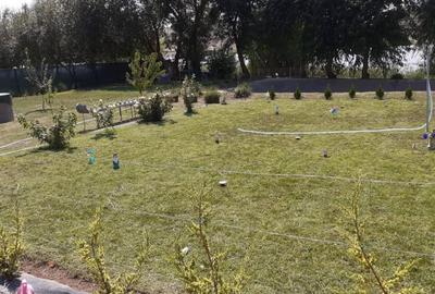 Casă individuală cu 3 camere cu Teren 300 Mp în Horia - 18