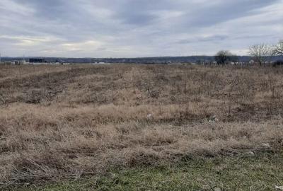 Teren de 7500 mp, în Șimian - 3