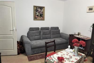 Apartament 1 camera DECOMANDAT, Frumoasa-parter - 4
