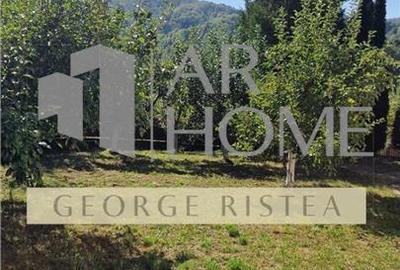 Casă individuală cu 6 camere cu Teren 2043 Mp în Piatra (Provița de Jos) - 27