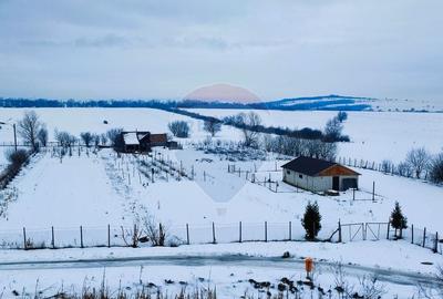 Teren intravilan de 9574 mp, în Est