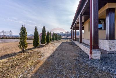 EXCLUSIV! Vila cu 7 camere, teren 7535mp, Risca, Comision 0% - 2