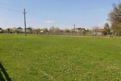 Teren de 6000 mp, în Nord - 2
