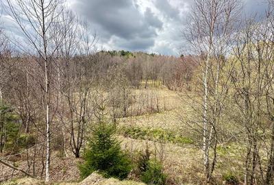 De vanzare teren in Brebu Nou  2877 mp De vanzare teren in Brebu Nou  2877 mp - 6