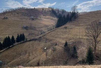 VÂNZARE TEREN CU POTENȚIAL DE DEZVOLTARE ÎN ZONA TURISTICĂ MAGURA-PESTERA - 12