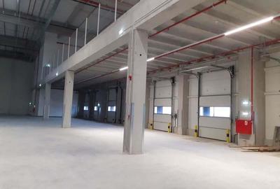 Spațiu comercial, de 2,000 mp, în Dragomirești-Vale - 5