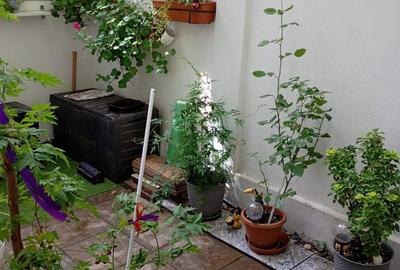 Apartament cu 3 camere decomandat în Petrești - 5
