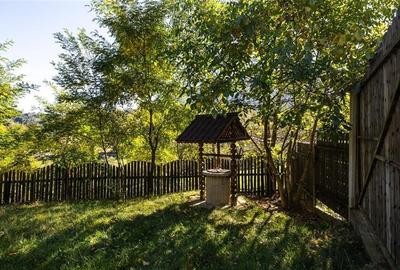 FILM! Edificu remarcabil, deschidere oportunitate de customizare - 5