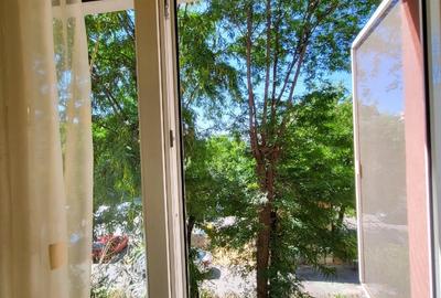 Vanzare Apartament 2 Camere Brazda lui Novac Craiova - 10