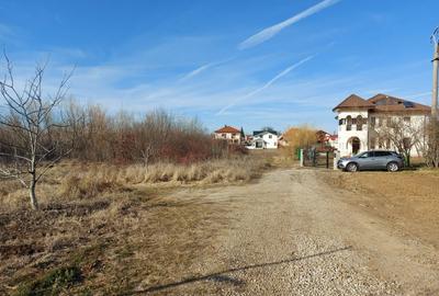 Loc pentru casa cu utilitati la 500m de padure, Ciofliceni - Snagov! - 1