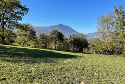 Teren intravilan loturi intre 500 si 1000 m la 5 km de Moieciu