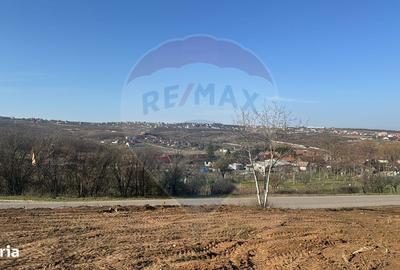 Spațiu comercial, în Cihei - 4