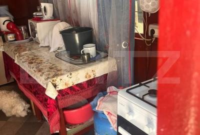 Casă cu 2 camere cu Teren 3548 Mp în Doba - 12