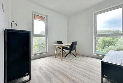 Spațiu comercial, de 20 mp, în Făget - 3