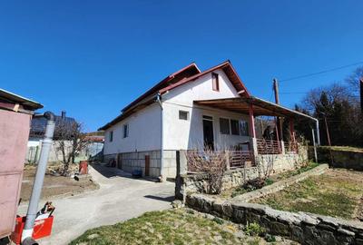 Casă cu 3 camere în Pietroșița - 4