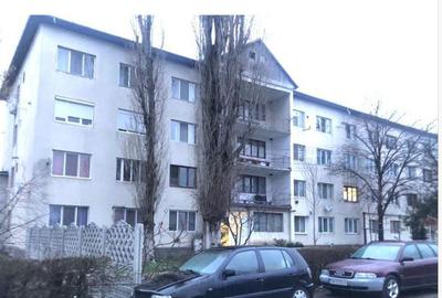 Garsonieră nedecomandată în Șandra - 3