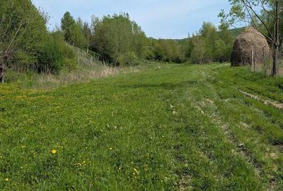 Teren de 14200 mp, în Podiș - 3