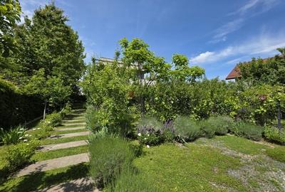 Casă individuală cu 3 camere cu Teren 830 Mp în Corbeanca - 21