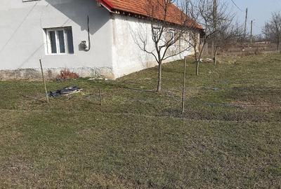 Casă cu 3 camere cu Teren 2877 Mp în Bethausen - 4
