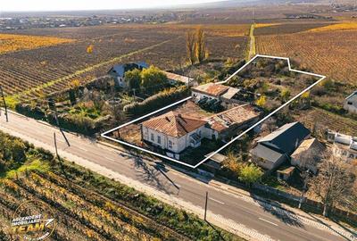 Teren Construcții intravilan de 4000 mp, în Vârteșcoiu - 19