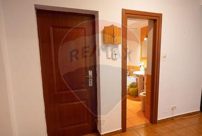 Apartament de vanzare cu 2 camere, Pia?a Nucetului, Nuf... - 9