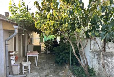 Casă cu 2 camere cu Teren 331 Mp în Central - 4
