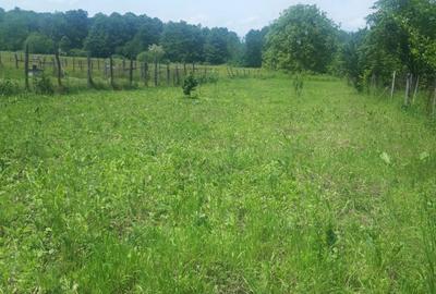 Casă cu 5 camere în Stănești - 7