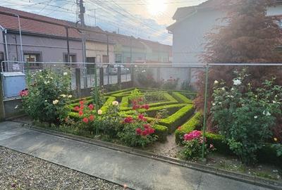 Casa de vanzare Oituz 59 - 2