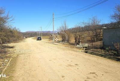 Teren de 2338 mp, în Bălești - 6