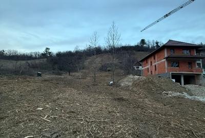 Teren Construcții intravilan de 2000 mp, în Est - 3