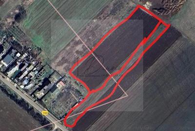 Teren intravilan Ciocanesti Cretu - 9282 mp divizat in 15 loturi - 4