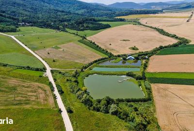 Teren de 31500 mp, în Negrești - 1