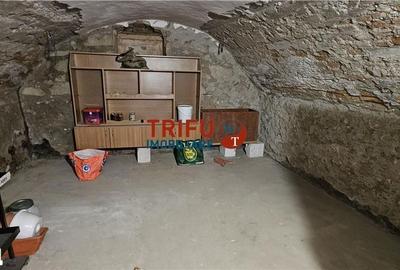 Casă cu 4 camere cu Teren 1284 Mp în Ighiu - 3