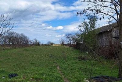 Casă cu 3 camere cu Teren 2504 Mp în Teasc - 4