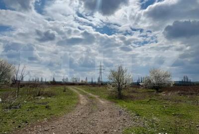 Teren de 7800 mp, în Central - 2