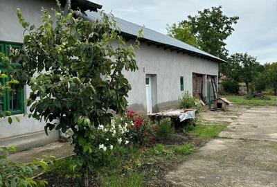 Casă cu Teren 950 Mp în Calomfirești - 1