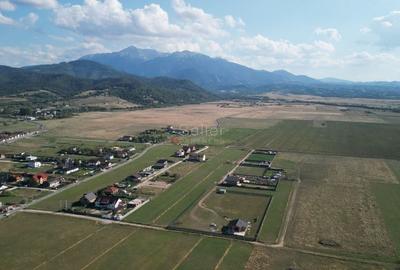 Teren intravilan - 11