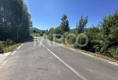 Comision 0% Teren extravilan cu utilitati 2000 mp pe Valea Sebesului - 3