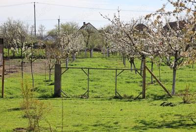 Casă cu 5 camere cu Teren 2900 Mp în Comloșu Mare - 1