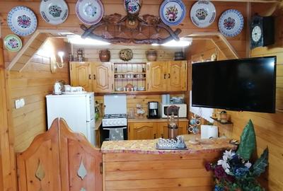 Casă cu 1 camere cu Teren 300 Mp în Ocna Șugatag - 2