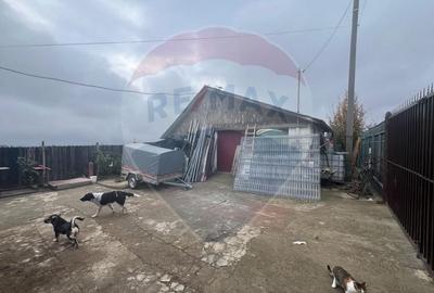 Casa 2 camere Carligele - 5