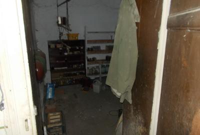 Casa Ianova, 2corpuri, 3 camere, 1500mp teren - 10