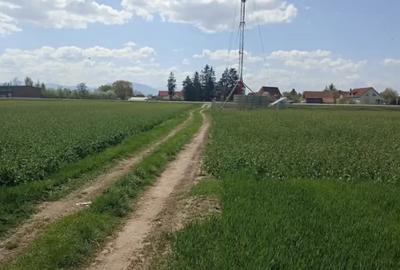 Teren de 7300 mp, în Chichiș - 4