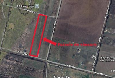 Parcela 699 mp Mosnita - Drumul Ghirodei - 4